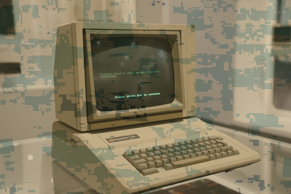 Digital Camouflage applied to a photograph - Pixel effect in Decimation Lab